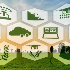 Аграрный кредит / сельхозкредит