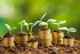 Как получить сельхозкредит