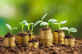 Как получить сельхозкредит