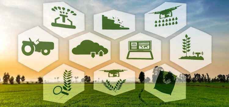 Аграрный кредит / сельхозкредит