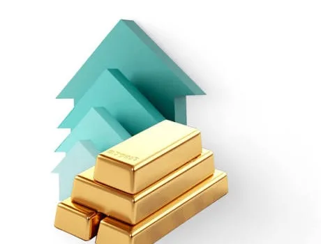 Что такое обезличенный металлический счет (ОМС) Что такое обезличенный металлический счет (ОМС)